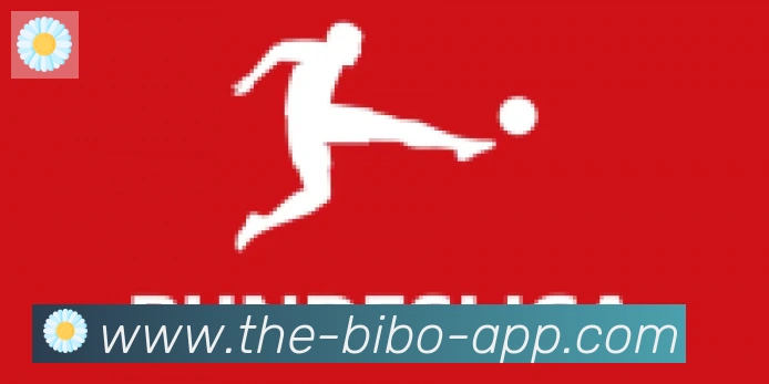 必博bibo官网体育合作伙伴